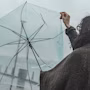 Umbrella